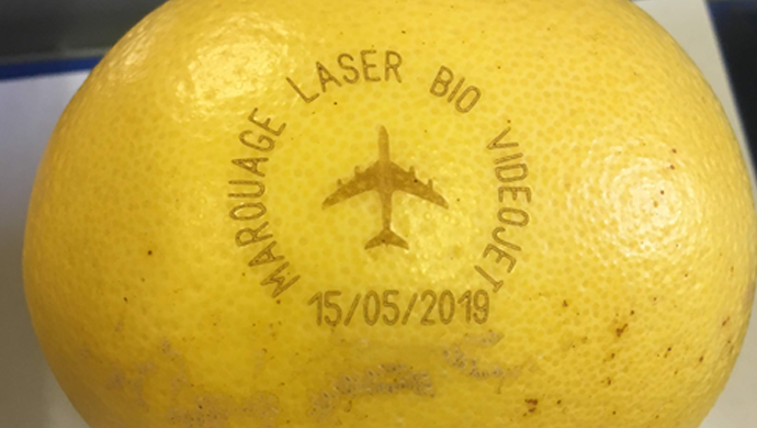 marquage laser sur citron